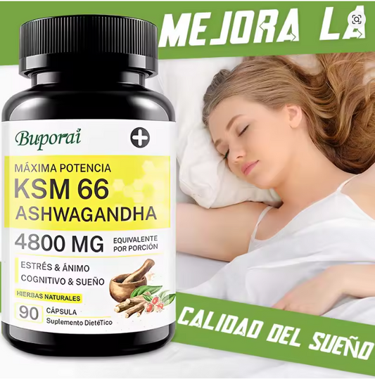 ASHWAGANDHA WINDBOSS KSM 66