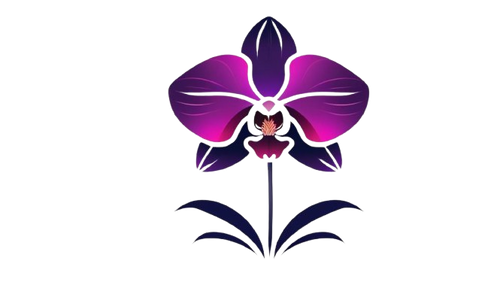 La Orquídea